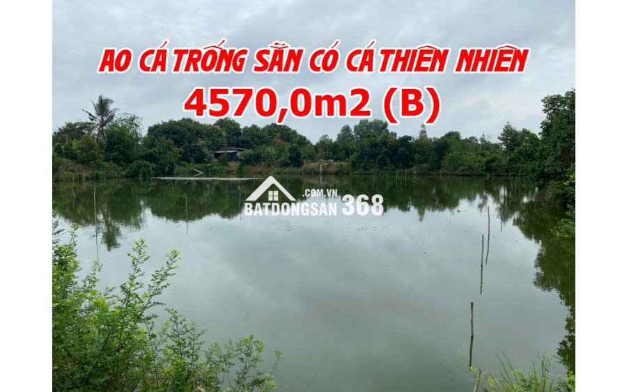 Bán đất ruộng lên ao sẵn tại Cao Lãnh